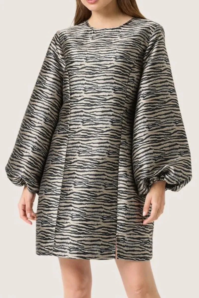 Balloon Sleeve Textured Print Dresses