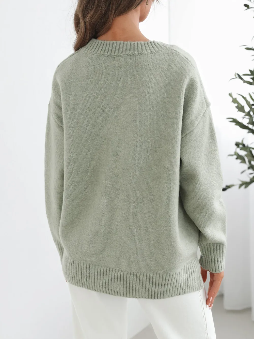 Casual  Crew Neck Knit
