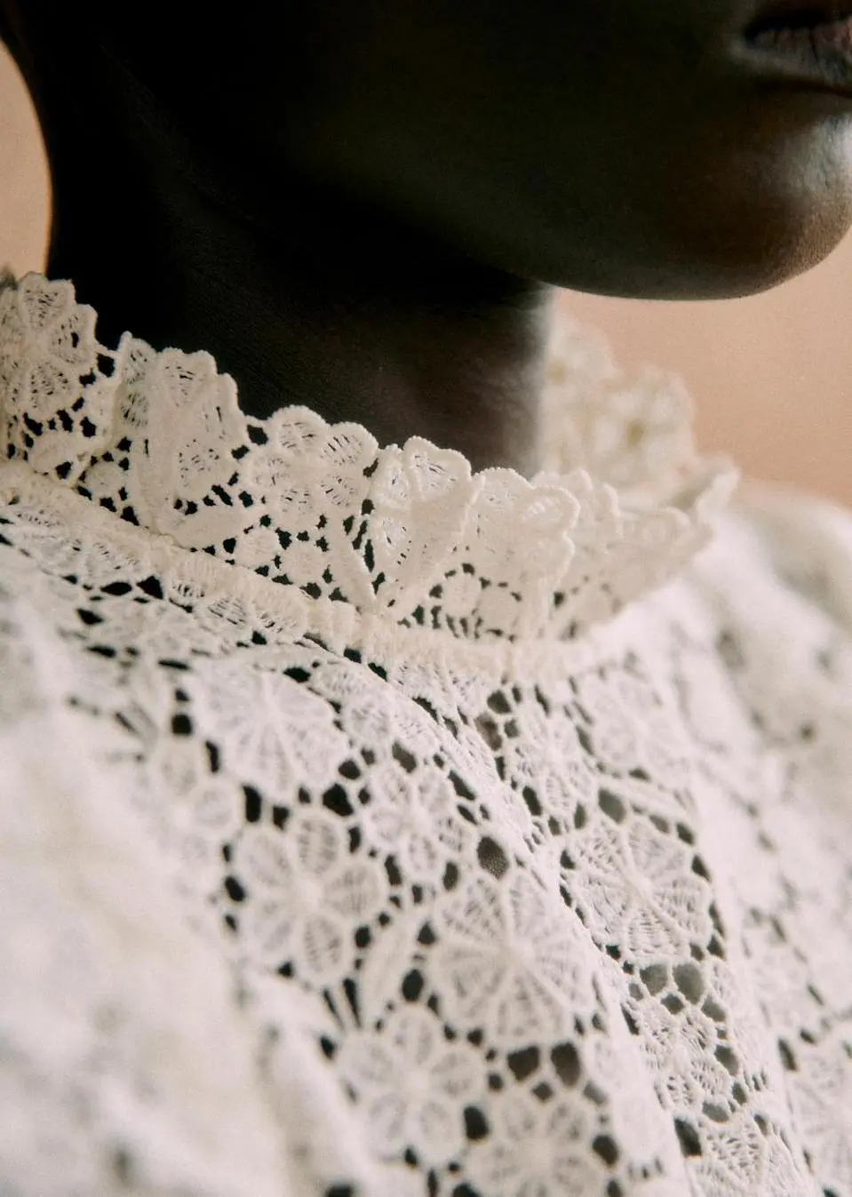 Hollow Lace Short-Sleeved Shirt