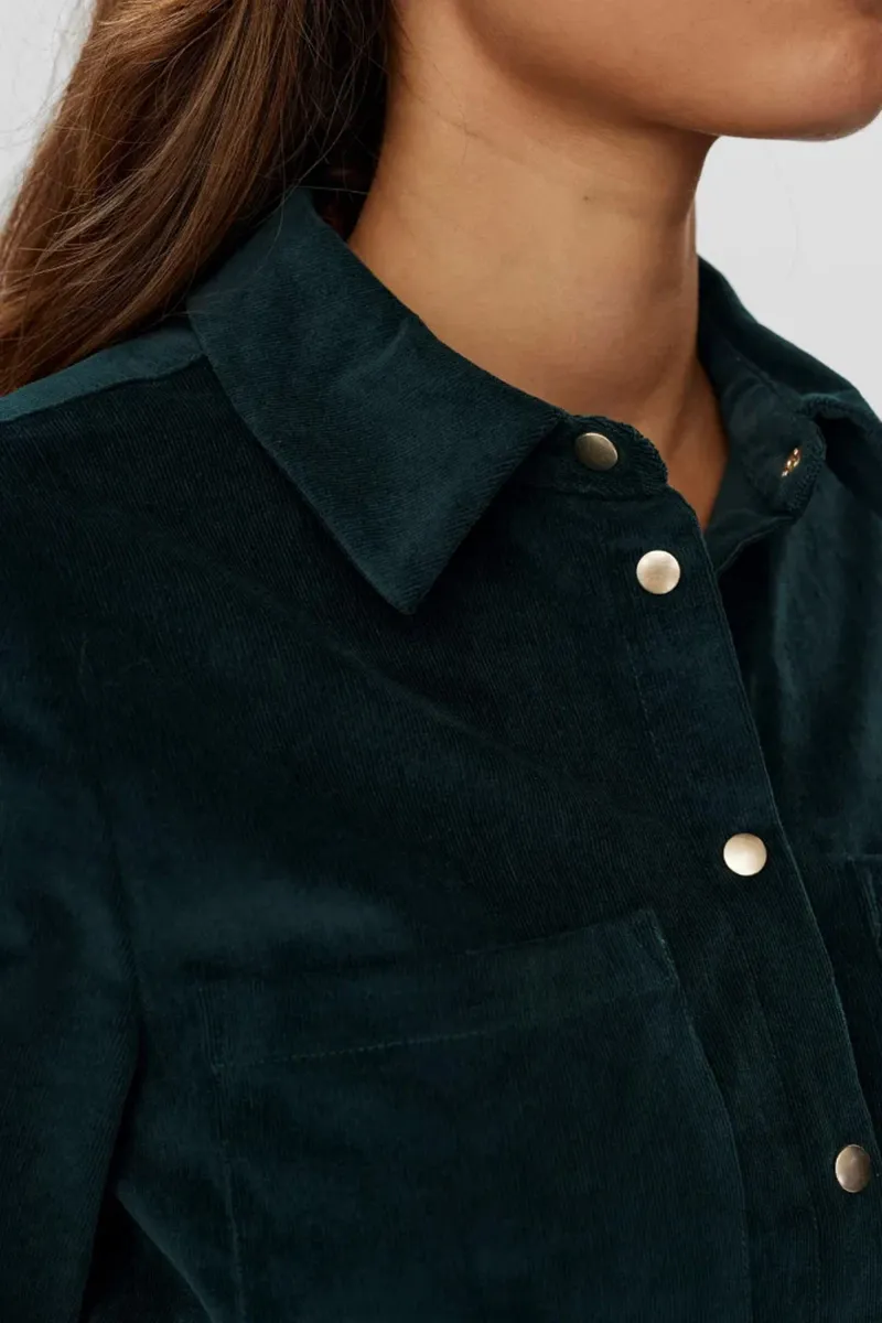 Belted Button Front Shirt Dresses