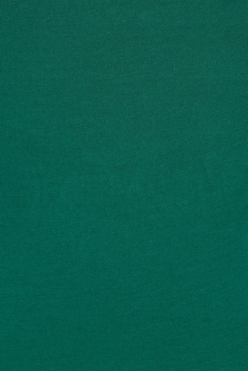 Green Short Sleeve Fitted Crop Tee