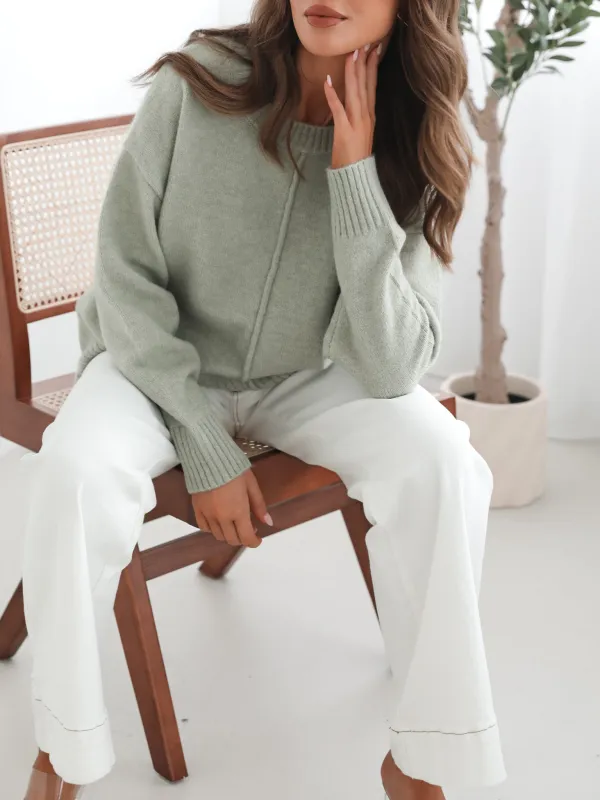 Casual  Crew Neck Knit