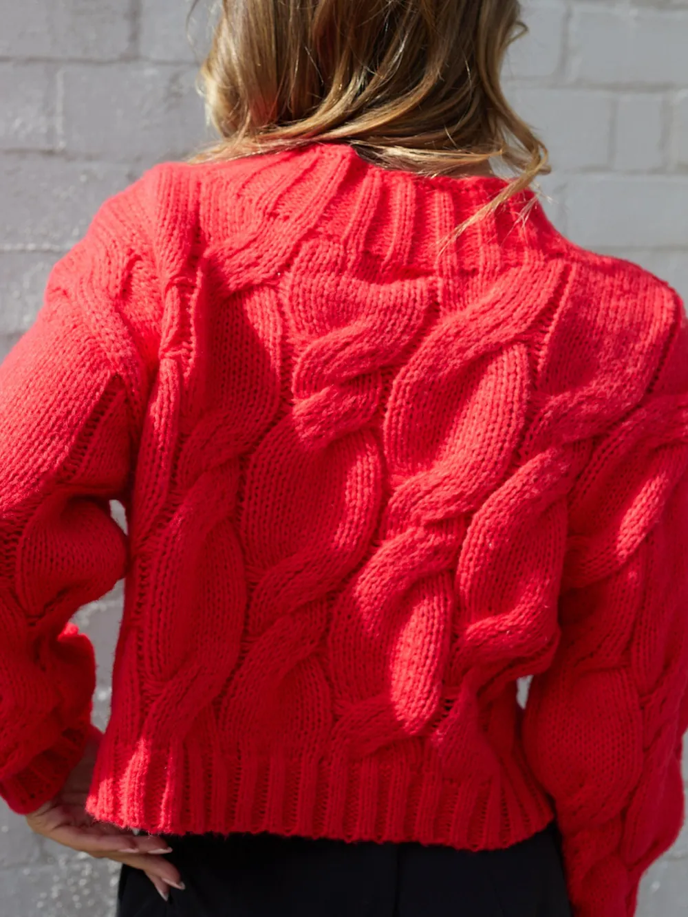 Red Casual Style Long Sleeves Knit