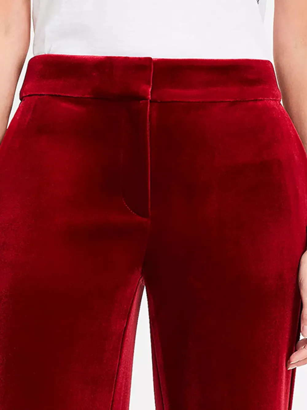 Clean Wide Leg Pants In Velvet