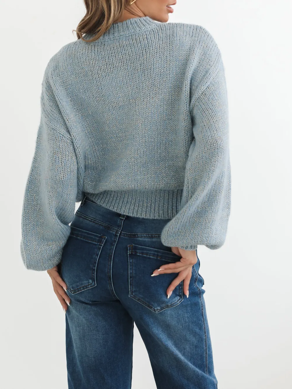 Blue Casual Style Crew Neck Knit