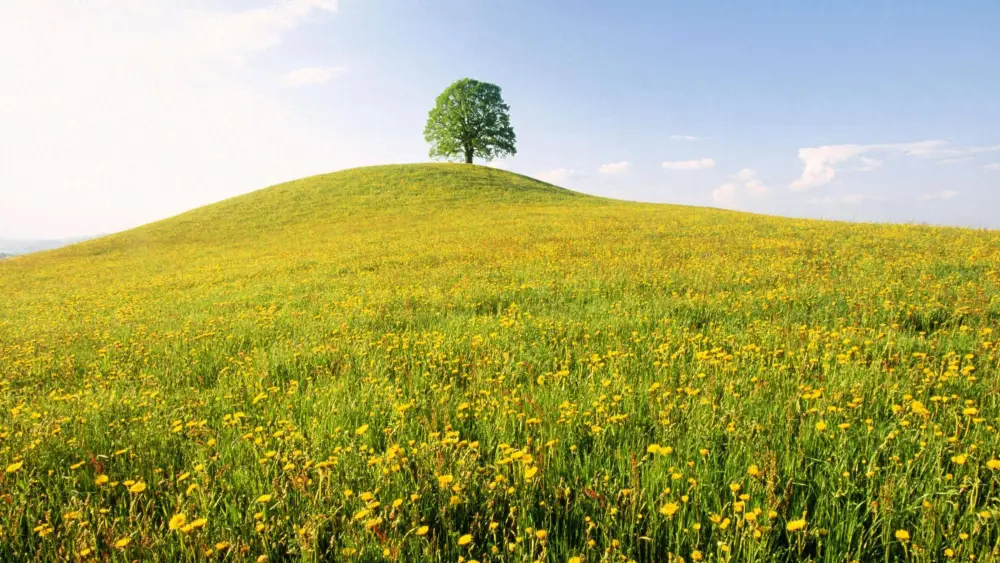 018Short Sleeve Daily Going out Weekend Streetwear Crewneck Regular Fit Summer Spring