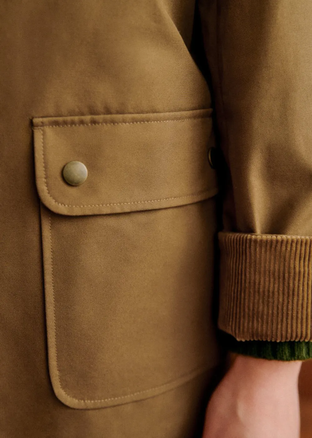 Coat with Classic Collar