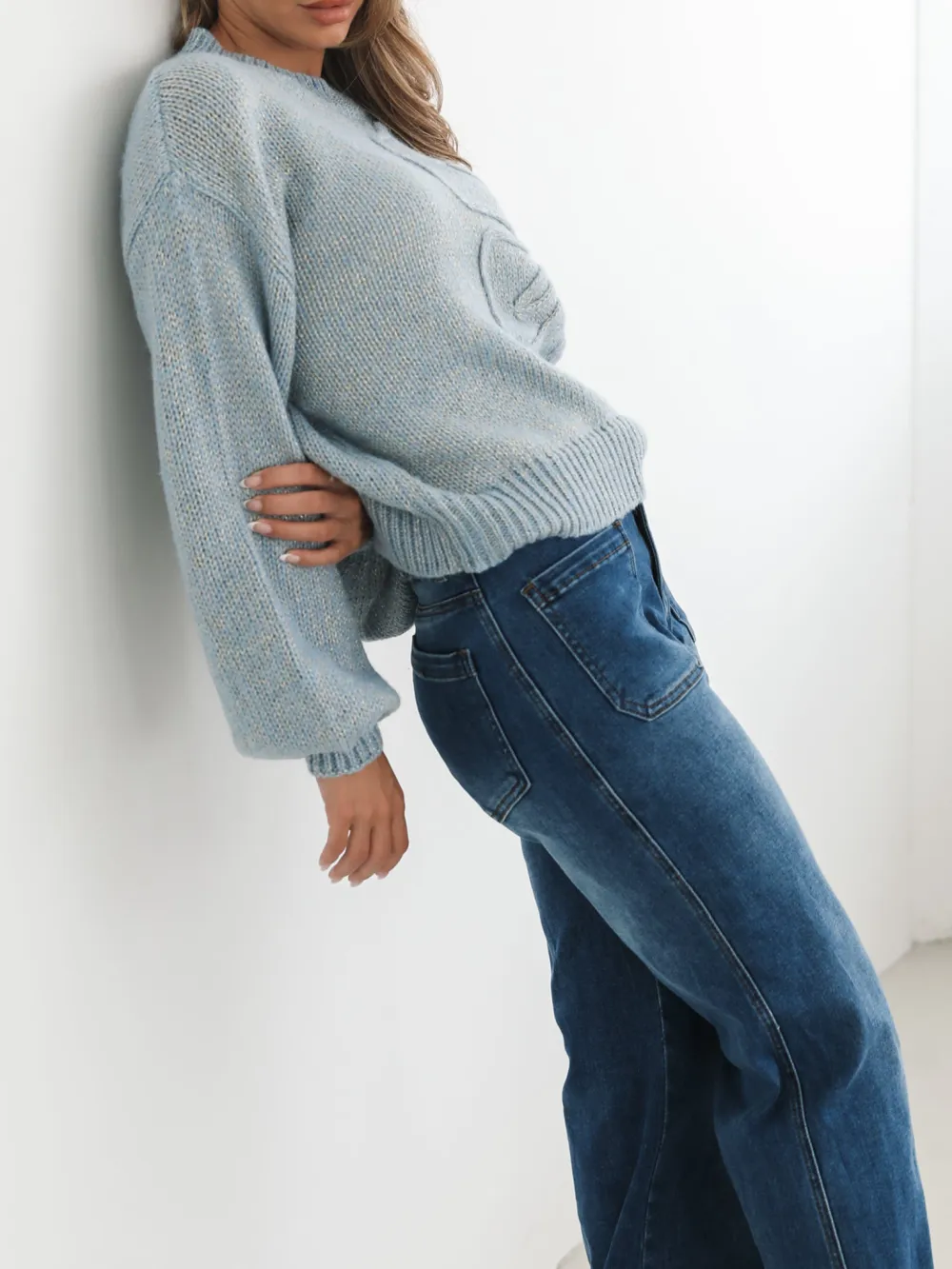 Blue Casual Style Crew Neck Knit