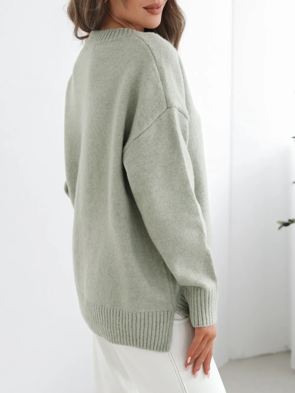Casual  Crew Neck Knit