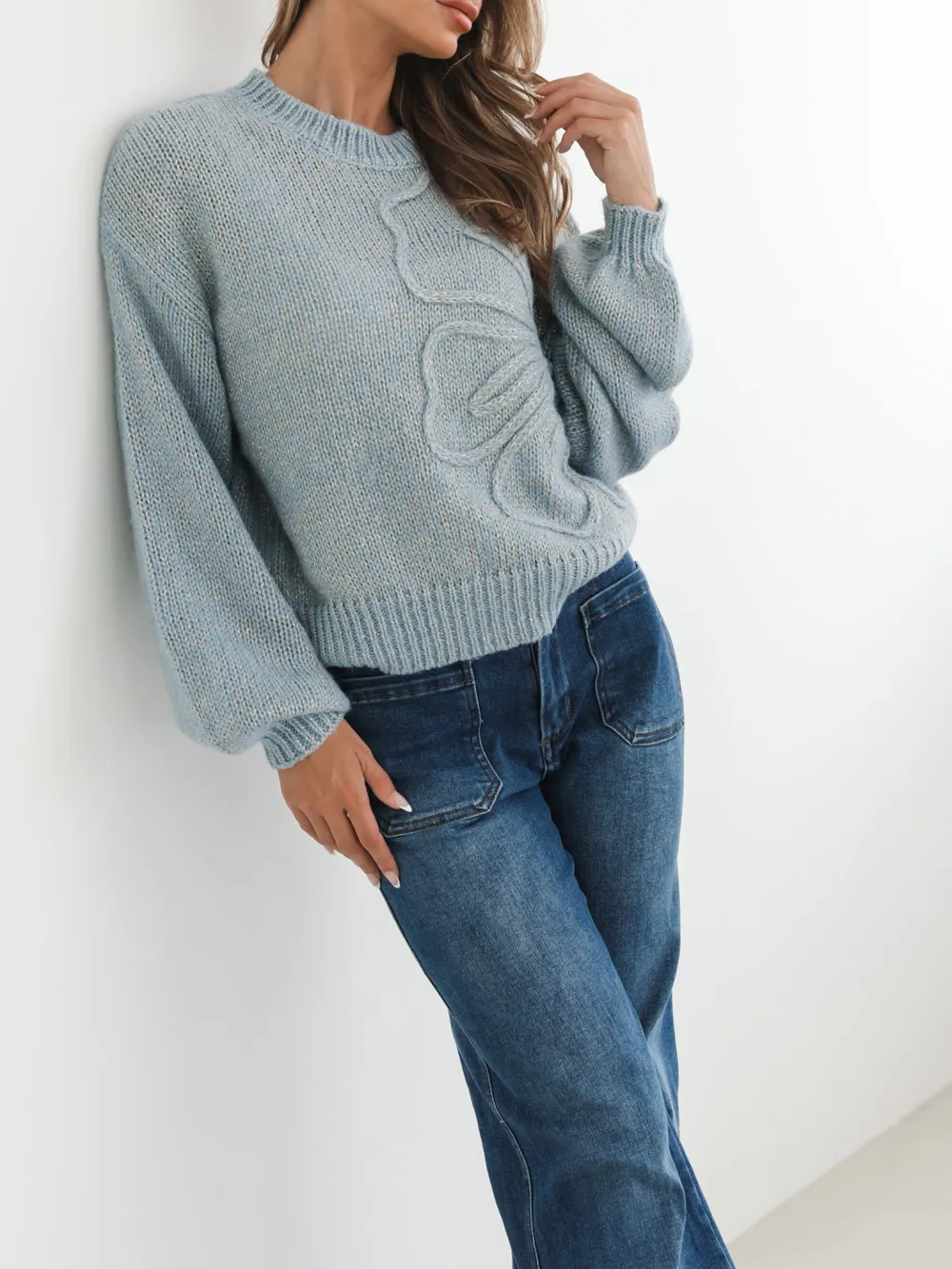Blue Casual Style Crew Neck Knit