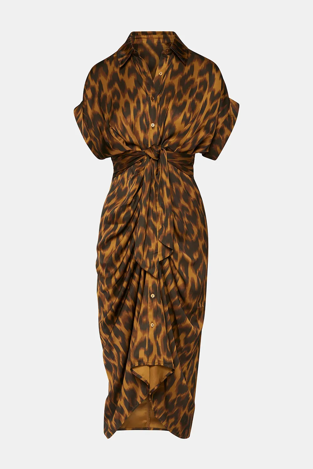 Leopard Print Dress Leopard